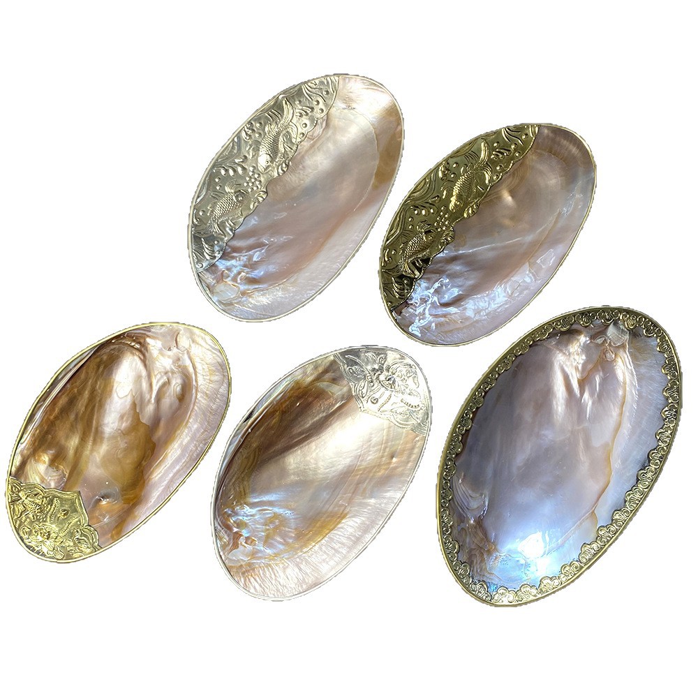 Natural Shell Tray Jewellery S – Xt Home Textiles Bewertung und Preis