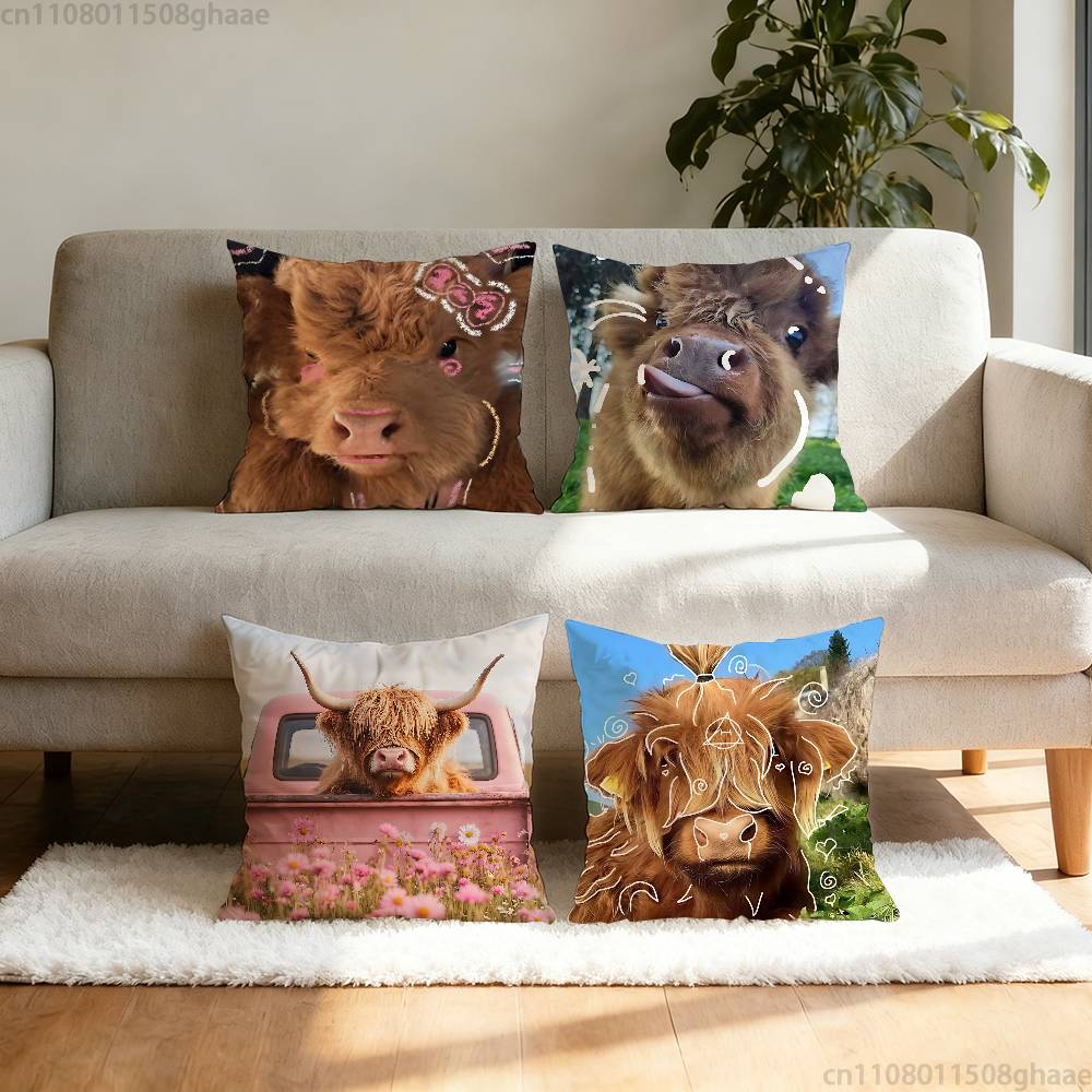 Cute Highland Cow Pillow Case  – Highland Home Textiles Bewertung und Preis