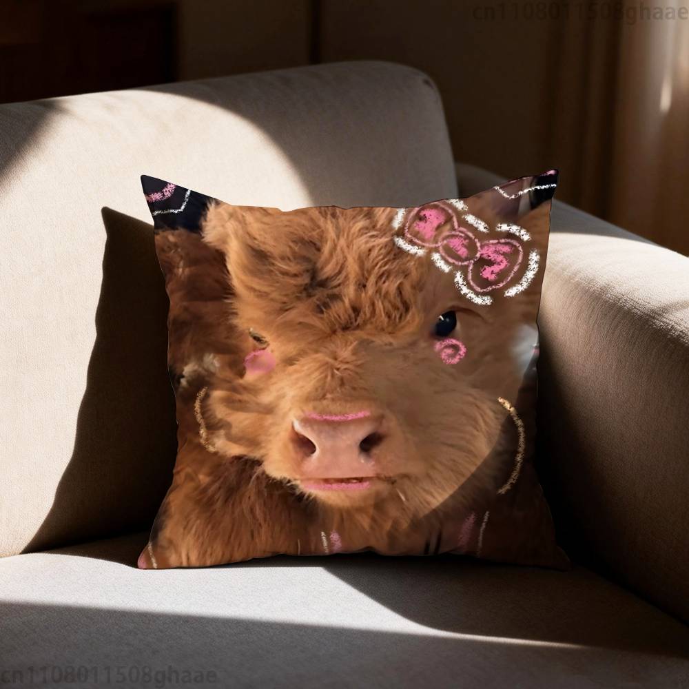 Cute Highland Cow Pillow Case  – Highland Home Textiles Bewertung und Preis